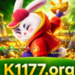k1177