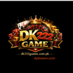 DK222 Game